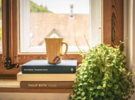 pexels-Literature Degree vs English Degree | My Education Compass-309724