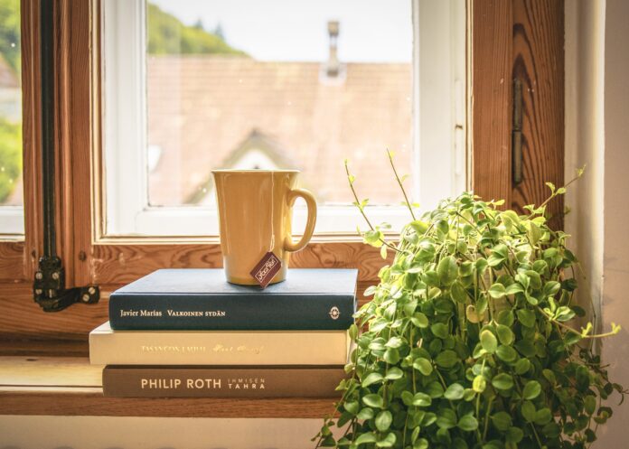 pexels-Literature Degree vs English Degree | My Education Compass-309724 pexels-Literature Degree vs English Degree | My Education Compass-309724